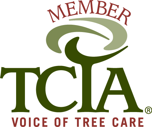 TCIA-Member-Logo-OLD-500x416 TCIA-Member-Logo-OLD-500x416