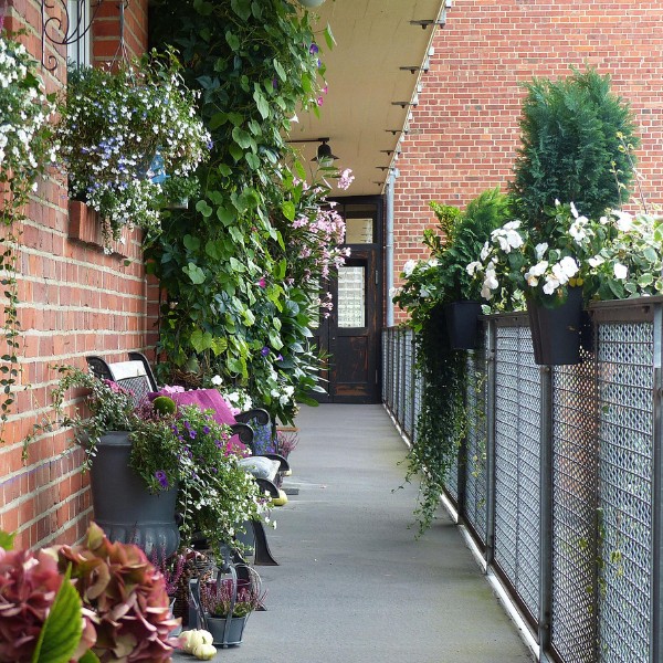 Front porch of a home in Dessau, adorned with a variety of colorful plants and flowers.