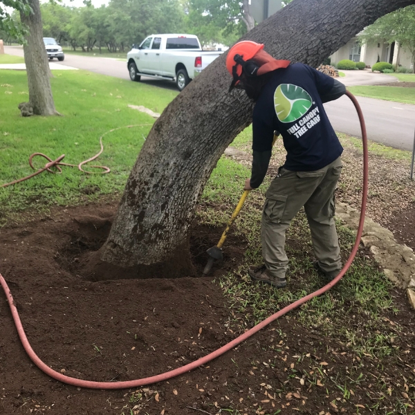 Website-about-section-guy-airspade-tree Website-about-section-guy-airspade-tree