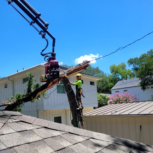 Website-about-section-guy-log-crane Website-about-section-guy-log-crane