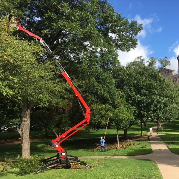 Website-about-section-spiderlift-crew-trees Website-about-section-spiderlift-crew-trees