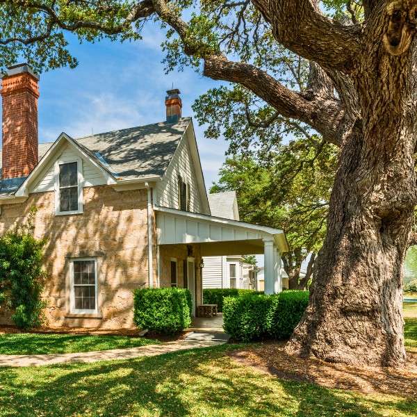 Website-consultation-section-house-garden-trees Large oak tree shading a small house with neatly trimmed hedges on a clear, sunny day.