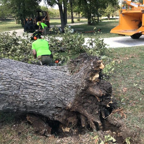 Website-emergency-section-fallentree-cleanup-chipper Website-emergency-section-fallentree-cleanup-chipper