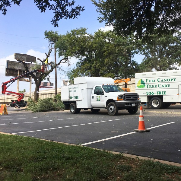 Website-home-section-trucks-spiderlift-arborist Website-home-section-trucks-spiderlift-arborist