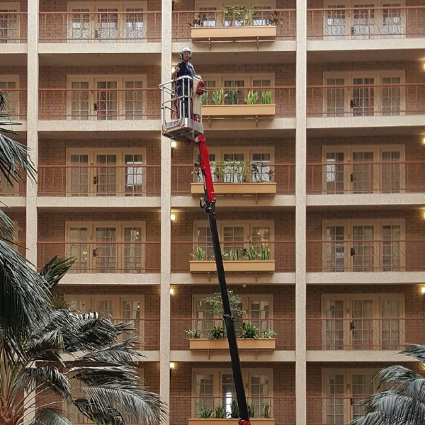 Website-pruning-section-guy-lift-hotel Tree care professional in a spider lift helping trim trees in an Austin, TX, hotel.