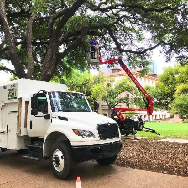 Website-pruning-section-guy-lift-truck Website-pruning-section-guy-lift-truck