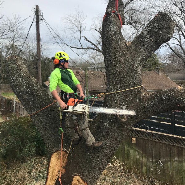 Website-removal-section-chainsaw-guy-helmet
