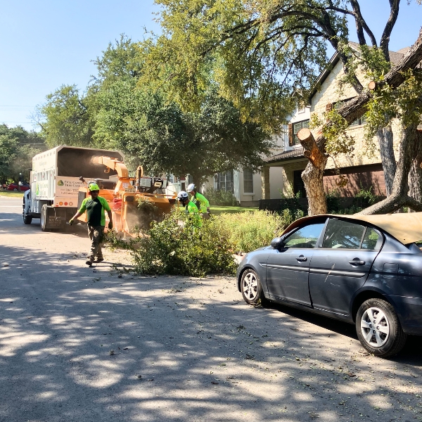 Website-storm-section-crew-cleanup-chipper Website-storm-section-crew-cleanup-chipper