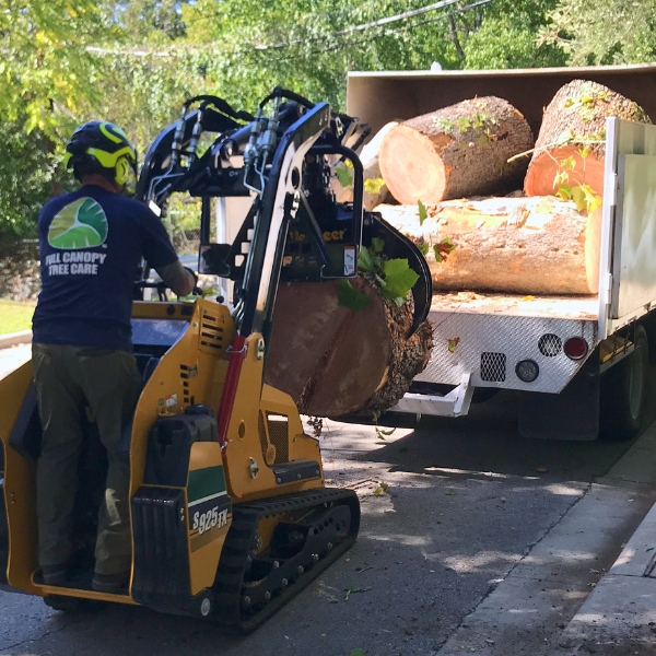 Website-storm-section-guy-skidsteer-logs Website-storm-section-guy-skidsteer-logs