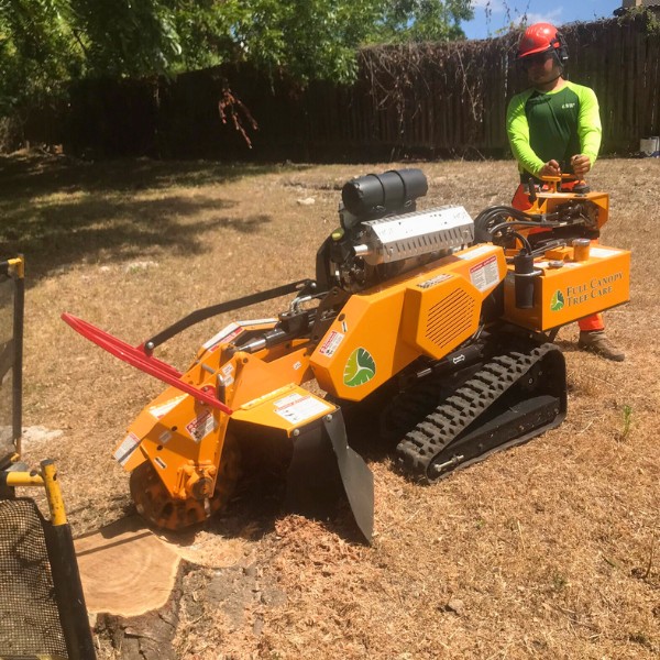 Website-stump-section-guy-stump-grinder Website-stump-section-guy-stump-grinder