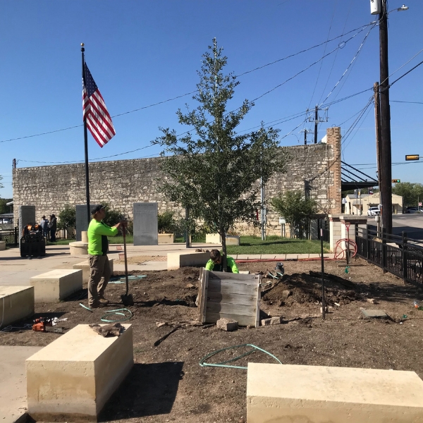Website-treeplanting-section-crew-tree-flag Website-treeplanting-section-crew-tree-flag