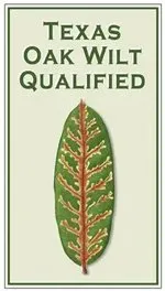 texas-oak-wilt texas-oak-wilt